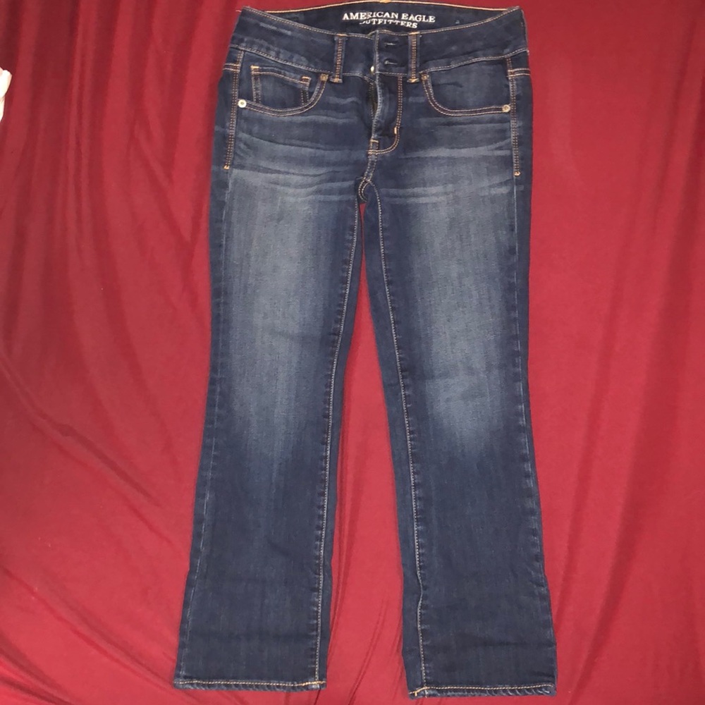 American Eagle Artist Crop Pants Size 2 Regular